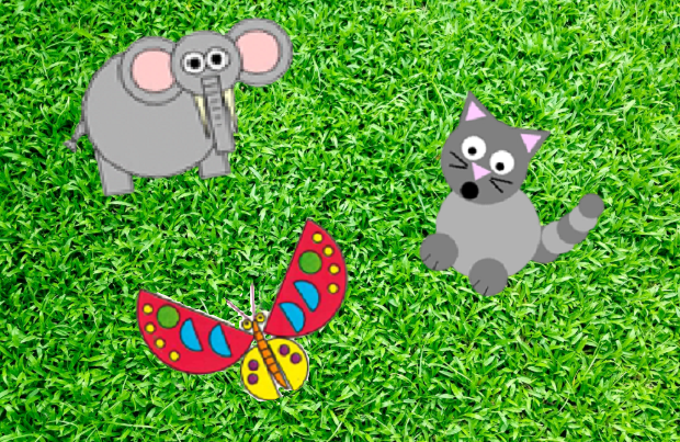 animals